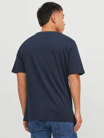 Jjeorganic Basic Tee Ss O-neck