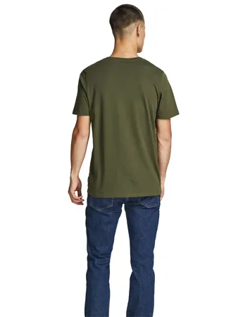 Jjeorganic Basic Tee Ss O-neck
